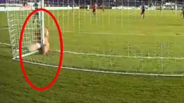 Σώσε την εστία με κάθε κόστος! (vid)