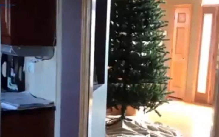 Είναι απίστευτες αυτές οι γάτες! (vid)