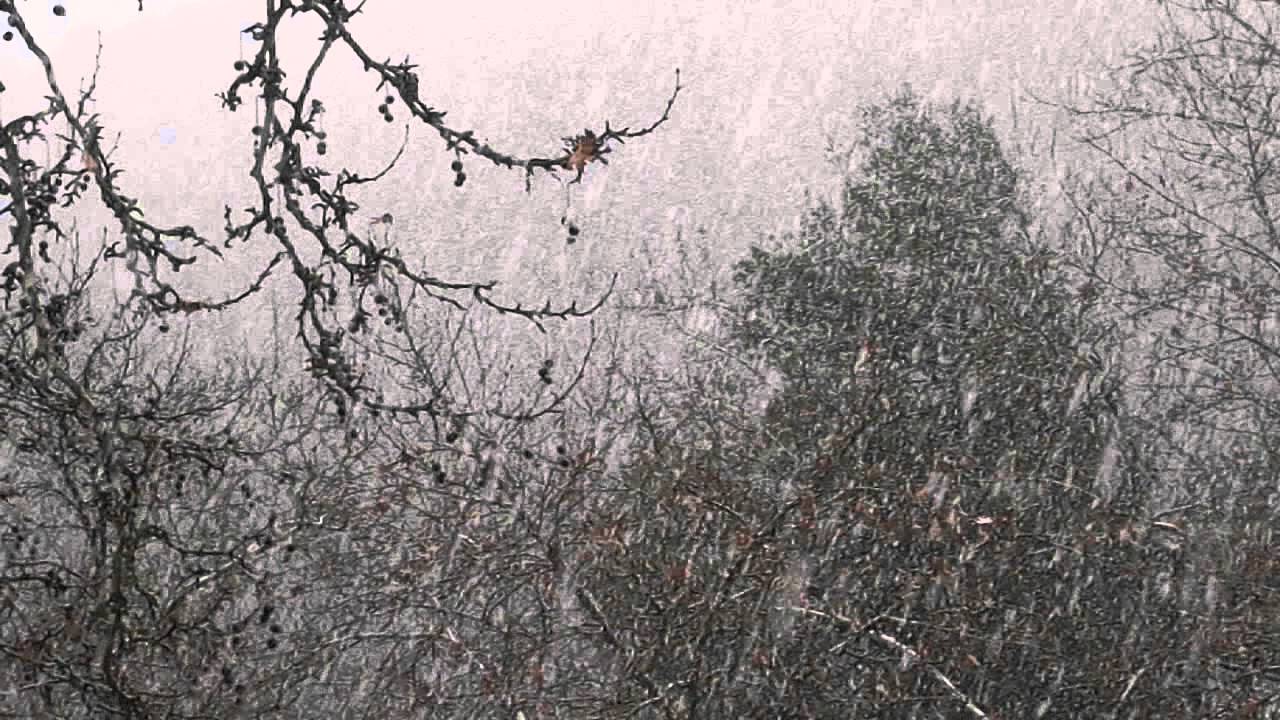 Προβλήματα απ’ τα χιόνια στα Καλάβρυτα