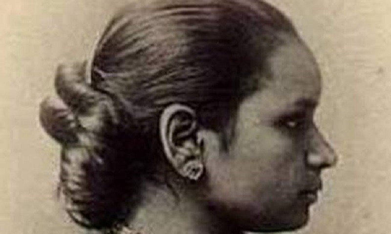 Anandi Gopal Joshi : Το doodle της Google