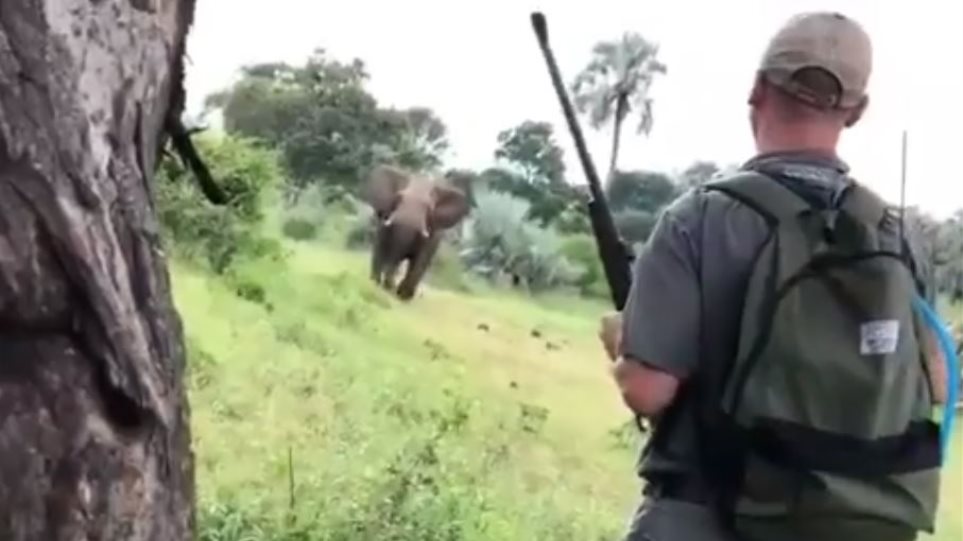 Σταματάει ελέφαντα που του ορμάει μόνο με το χέρι του! (vid)
