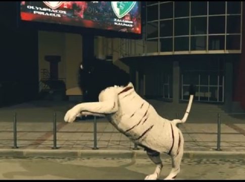 Τα λιοντάρια του Πειραιά (vid)