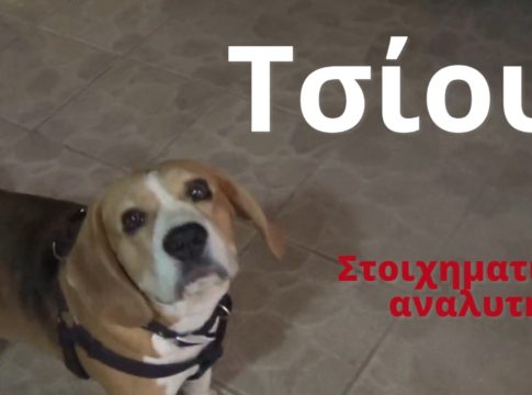 Φοβερός ο Τσίου: Προέβλεψε και τις νίκες Βραζιλίας και Βελγίου (vid)