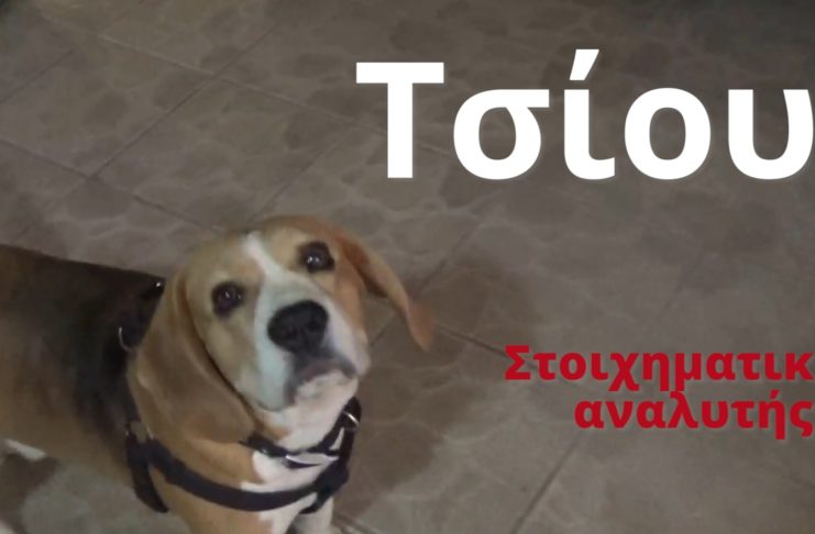 Φοβερός ο Τσίου: Προέβλεψε και τις νίκες Βραζιλίας και Βελγίου (vid)