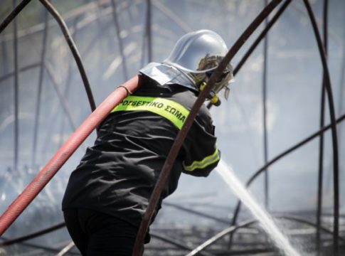 Φωτιά στη Δυτική Αττική, στις φλόγες τα Γεράνεια Όρη