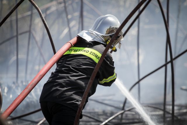 Φωτιά στη Δυτική Αττική, στις φλόγες τα Γεράνεια Όρη