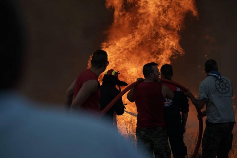 Πύρινος όλεθρος: Παραδομένη στις φλόγες η Αττική (vids+pics)