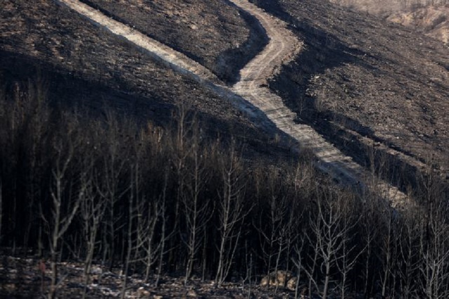 Την Παρασκευή η καταβολή συντάξεων και μερισμάτων σε πυρόπληκτους