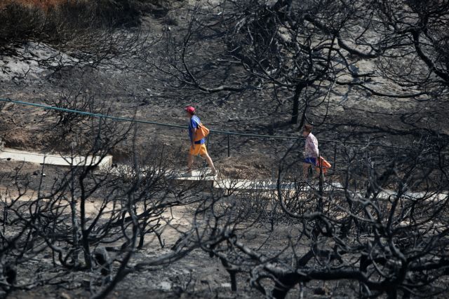 20 άτομα θα καταθέσουν για την πυρκαγιά στο Μάτι- Οι Περιφέρειες δεν έχουν επιχειρησιακή ευθύνη για την κατάσβεση των πυρκαγιών δηλώνει η Ρένα Δούρου