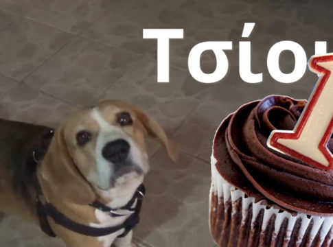 Η αυλή της ζωής μας…