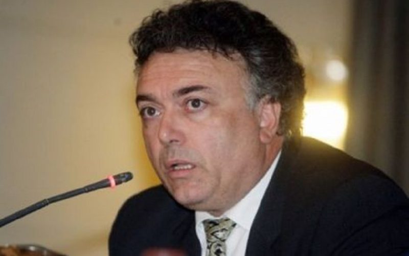 «Στην Ελλάδα βλέπουμε το δέντρο και χάνουμε το δάσος»