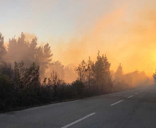 Εκτός ελέγχου η φωτιά στη Σιθωνία Χαλκιδικής