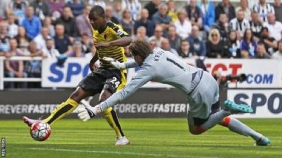 Κούκοι… μονοί με ζεύγη!