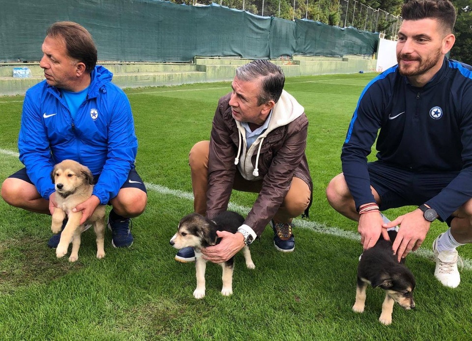 Ο Ατρόμητος βοηθά 9 εγκαταλελειμμένα κουτάβια να βρουν καινούργιο σπίτι