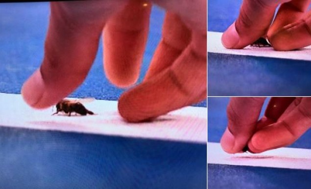 Σφίγγα στον αγώνα του Τσιτσιπά