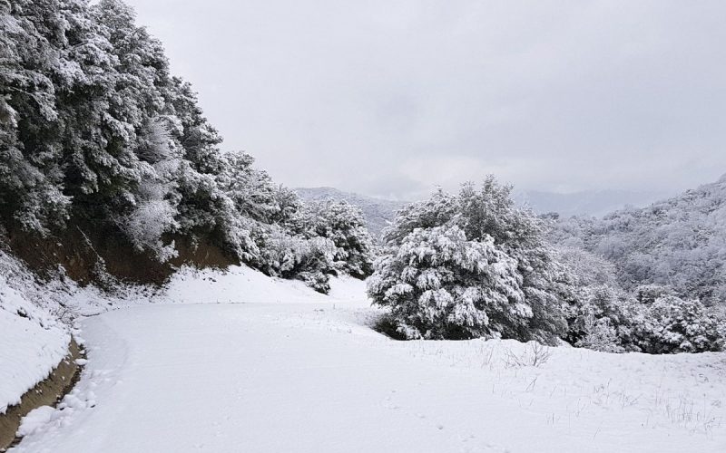 Σε ποια μέρη της Ελλάδας βρέθηκε η θερμοκρασία υπό το μηδέν