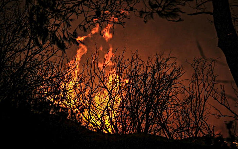 Ηλεία: Ολονύχτια μάχη με τις φλόγες στο Δάσος της Στροφυλιάς
