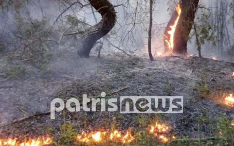 Σε ύφεση η φωτιά στη Στροφυλιά: Κάηκε σπάνιο οικοσύστημα