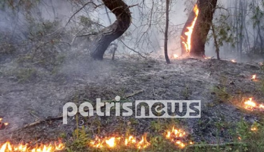 Σε ύφεση η φωτιά στη Στροφυλιά: Κάηκε σπάνιο οικοσύστημα