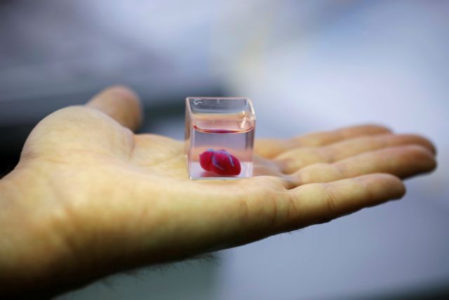 Επιστήμονες «τύπωσαν» την πρώτη 3D καρδιά από ανθρώπινο ιστό