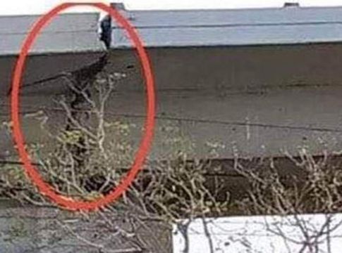 Καταγγελίες Τσελέντη για τεράστια ρωγμή στη γέφυρα του Φαληρικού Δέλτα