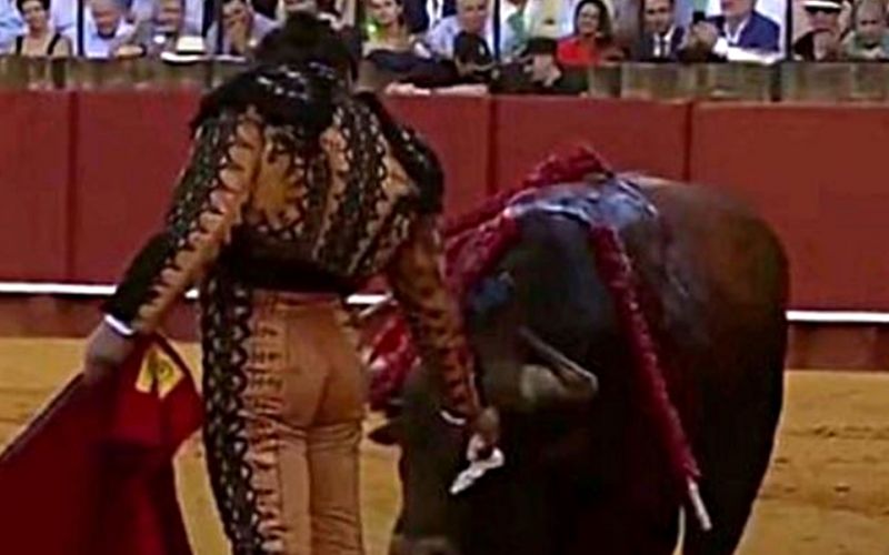 Σεβίλλη: Viral το βίντεο με ταυρομάχο που σκουπίζει τα δάκρυα ταύρου πριν τον σκοτώσει