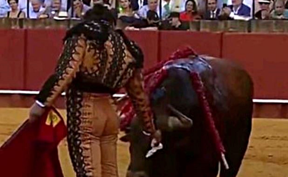 Σεβίλλη: Viral το βίντεο με ταυρομάχο που σκουπίζει τα δάκρυα ταύρου πριν τον σκοτώσει