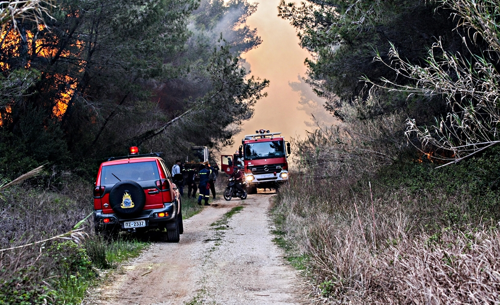 Φωτιά στο Λαγονήσι – Μεγάλη κινητοποίηση της Πυροσβεστικής