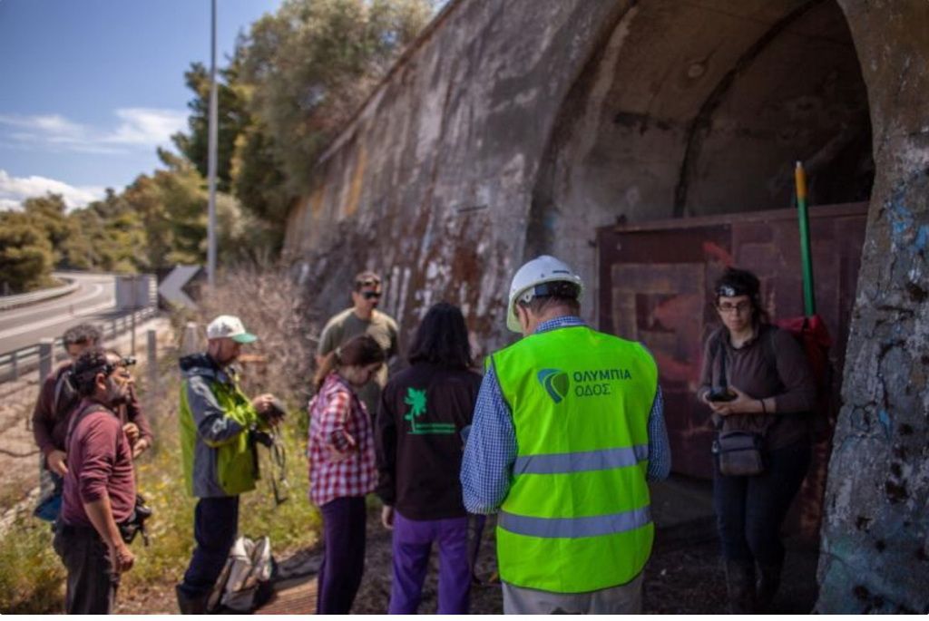 Πρόγραμμα προστασίας νυχτερίδων από την Ολυμπία Οδό