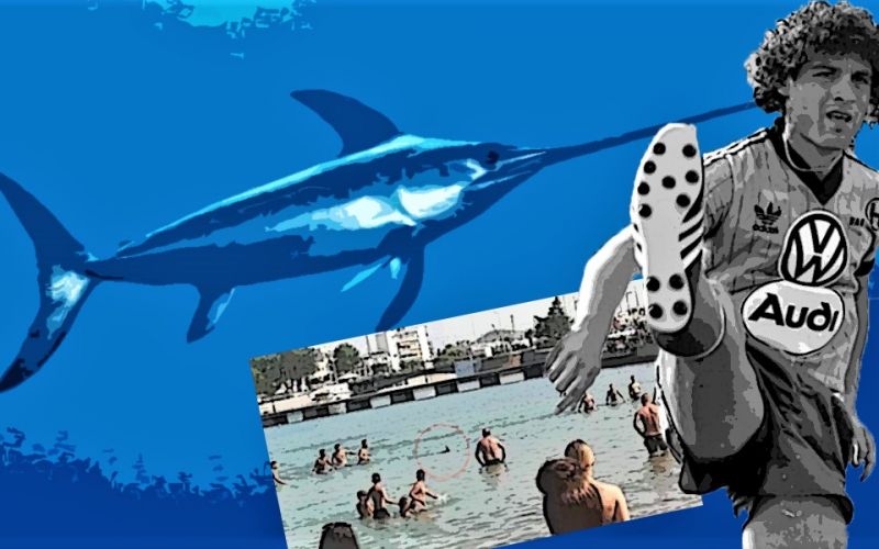 Οι κανίβαλοι στις παραλίες, οι «ευαίσθητοι» στις οθόνες