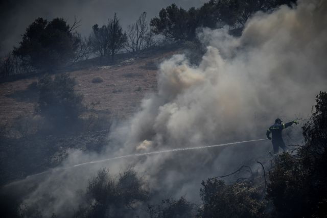Εύβοια: Συνεχίζεται η μάχη στα πύρινα μέτωπα – Καλύτερη η εικόνα της πυρκαγιάς