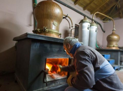 Απόφαση «βόμβα» για τσίπουρο και τσικουδιά – Έρχονται αυξήσεις «φωτιά»