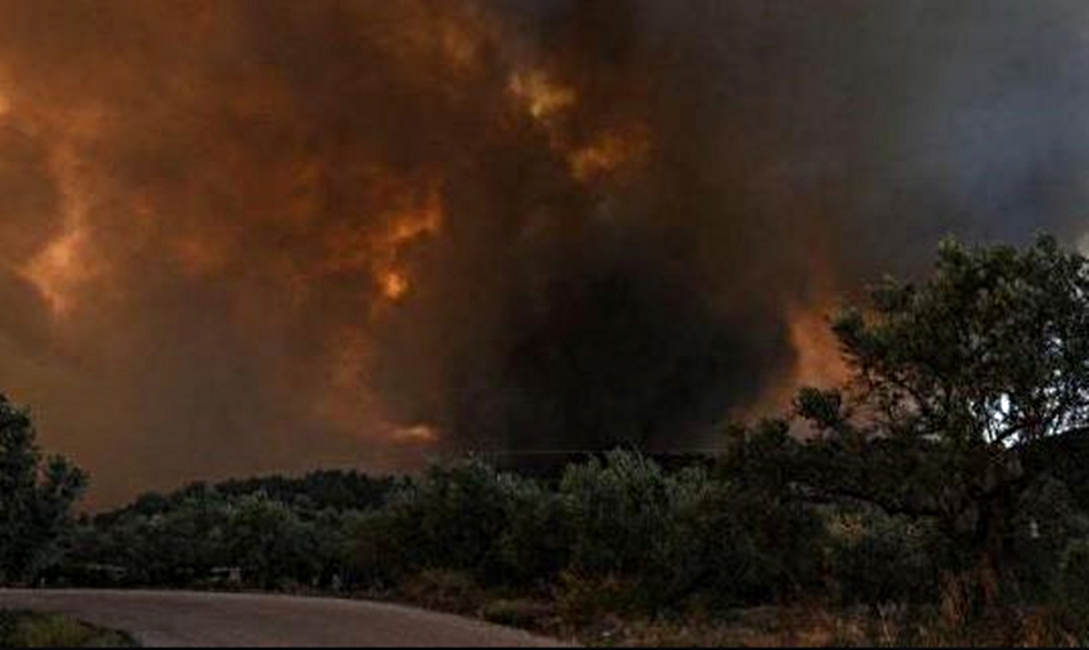 Εύβοια: Εικόνες καταστροφής από την πύρινη λαίλαπα – Μία σύλληψη για εμπρησμό (pics)