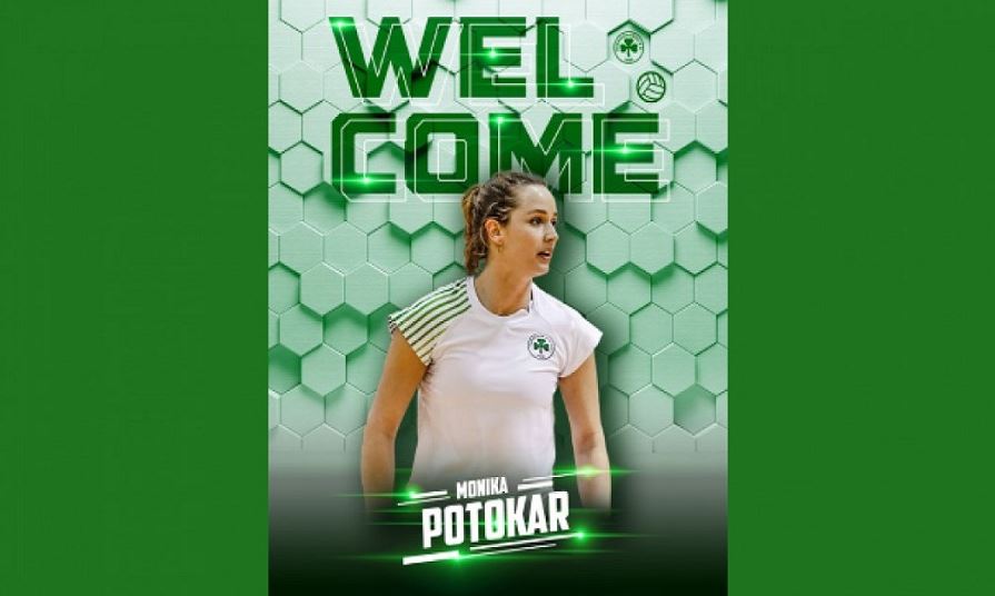 Ανακοίνωσε Πότοκαρ ο Παναθηναϊκός