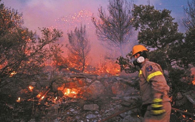 Σε 12 λεπτά κάηκαν 300 στρέμματα
