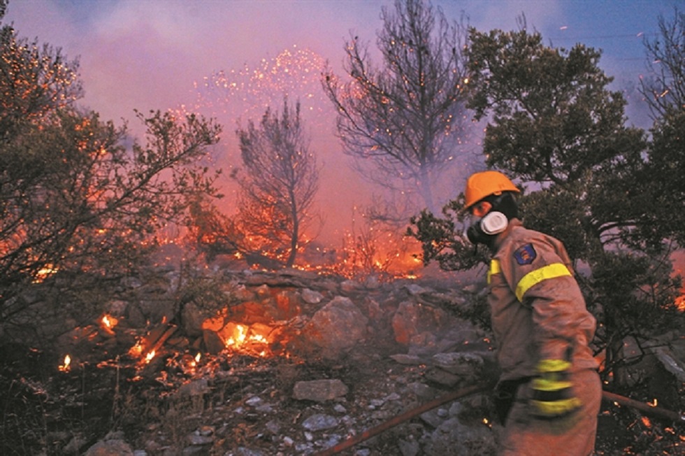 Σε 12 λεπτά κάηκαν 300 στρέμματα