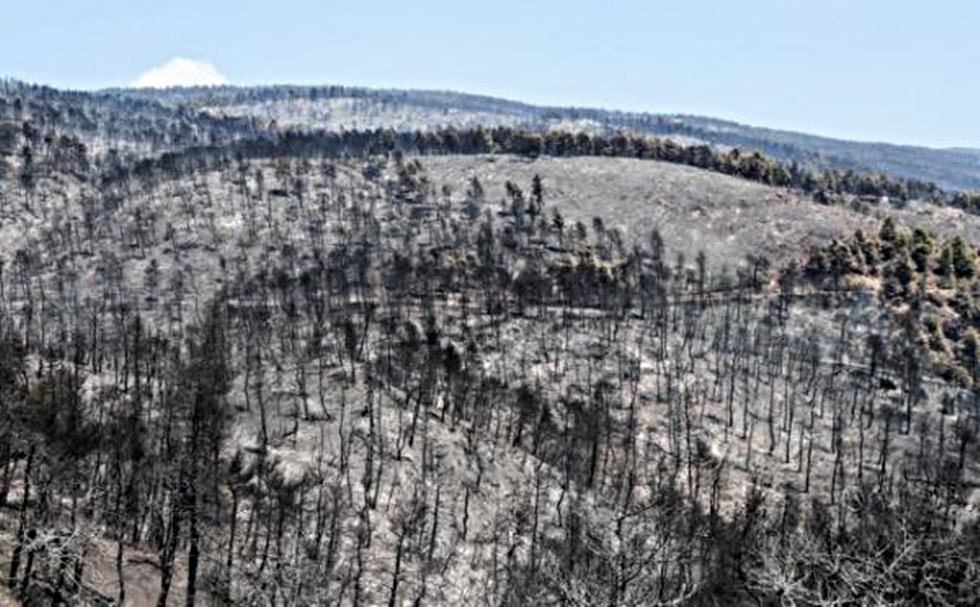 Συνεχίζεται για τρίτη μέρα η μάχη με την πυρκαγιά στην Εύβοια – Μαυρίζουν την ψυχή οι εικόνες