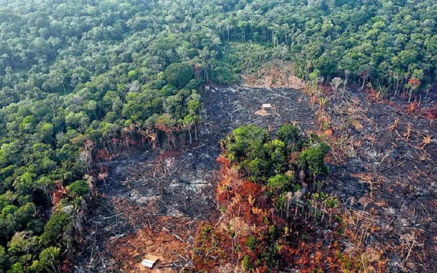 Αμαζόνιος – Προειδοποίηση: Η παρέμβαση στο δάσος ίσως προκαλέσει νόσο που θυμίζει κορωνοϊό