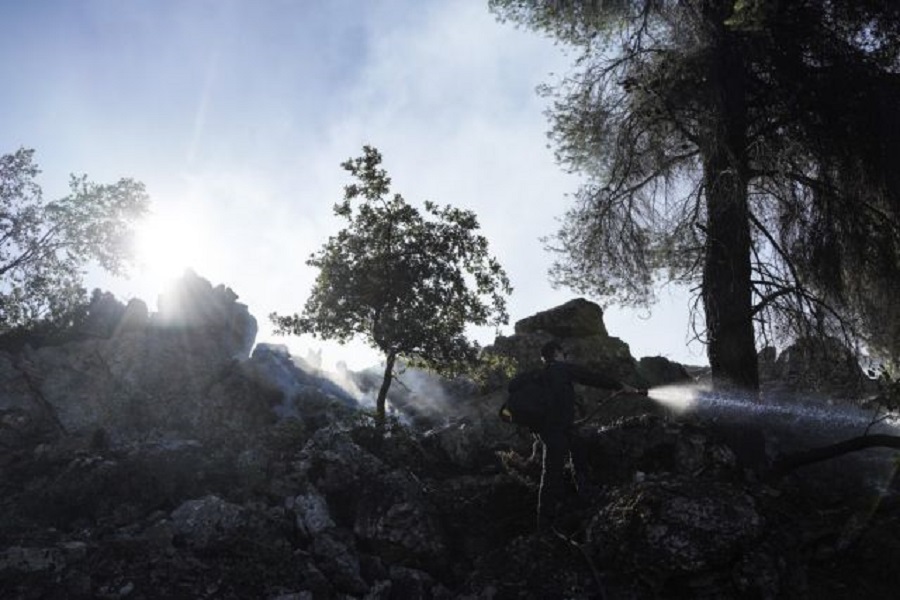 Εύβοια: Στάχτη 10.000 στρέμματα δάσους – Τεράστια οικολογική καταστροφή