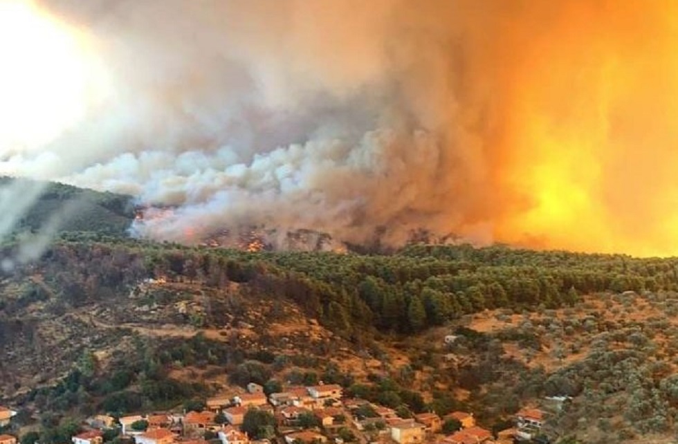 Εύβοια: Πού εστιάζονται οι έρευνες της διεύθυνσης εγκλημάτων εμπρησμού της Πυροσβεστικής