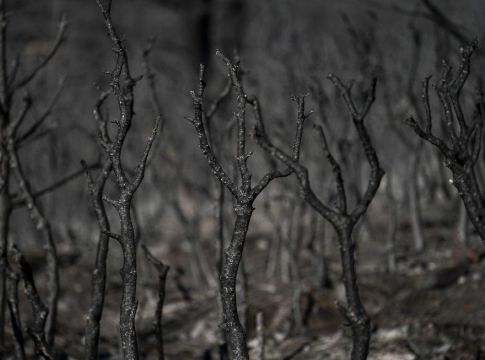 Υμηττός: Εξετάζουν τις κολώνες της ΔΕΗ αναζητώντας τα αίτια της πυρκαγιάς