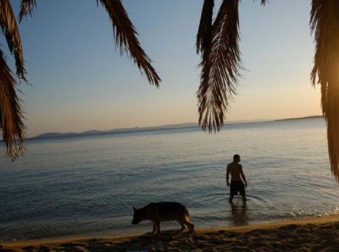 Έκανε ψαροντούφεκο και του επιτέθηκε αυτό – Δραματικές στιγμές στο νερό (pics)