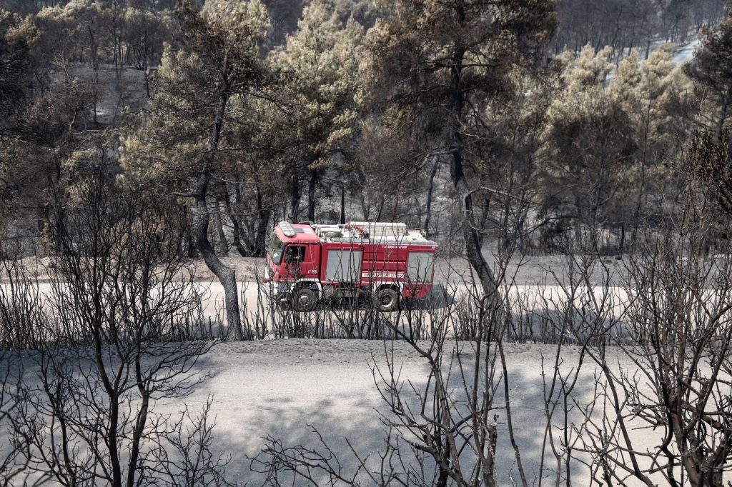 Συνελήφθη ο εμπρηστής της Ηλείας – Κατηγορείται για τρεις πυρκαγιές