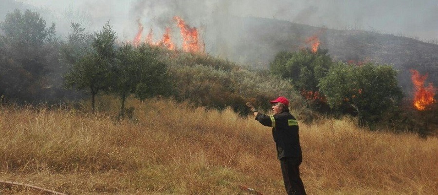 Φωτιά στο Μουζάκι Ζακύνθου | to10.gr Φωτιά στο Μουζάκι Ζακύνθου | to10.gr