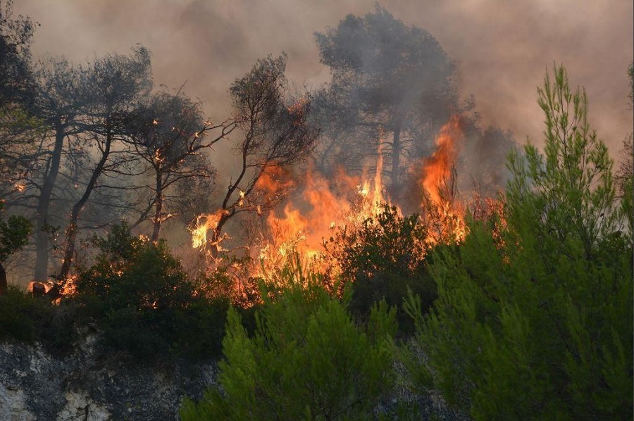 Στο «κόκκινο» λόγω πυρκαγιών η χώρα: Εκκένωση οικισμού στην Ελαφόνησο – Μάχη με τις φλόγες στον Μαραθώνα
