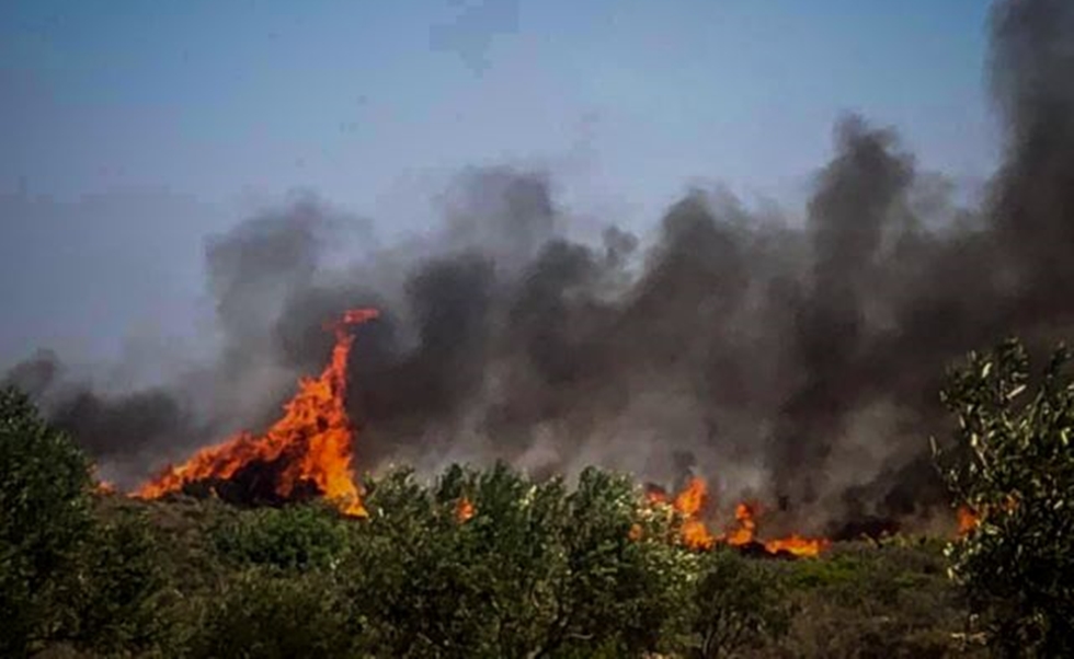 Αναζωπυρώθηκε η πυρκαγιά στην Ελαφόνησο – Εκκενώθηκε οικισμός (vids)