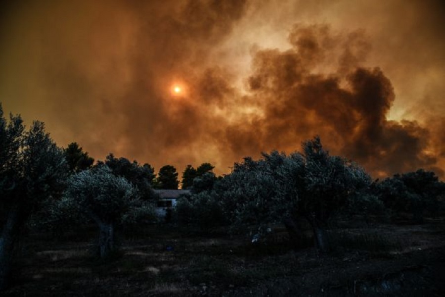 Φωτιά στην Νέα Πεντέλη | to10.gr Φωτιά στην Νέα Πεντέλη | to10.gr