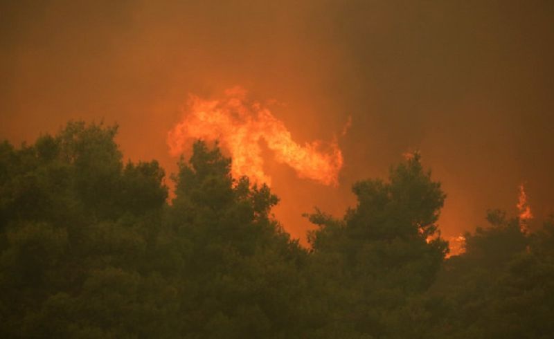 Πυρκαγιά ξέσπασε στη Σιθωνία Χαλκιδικής- Καίει δάσος (pic)