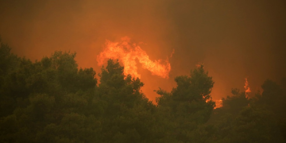 Πυρκαγιά ξέσπασε στη Σιθωνία Χαλκιδικής- Καίει δάσος (pic)