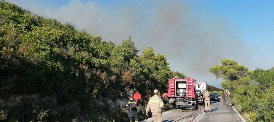 Φωτιά στη Ζάκυνθο: Μέλισσες επιτέθηκαν σε πυροσβέστες